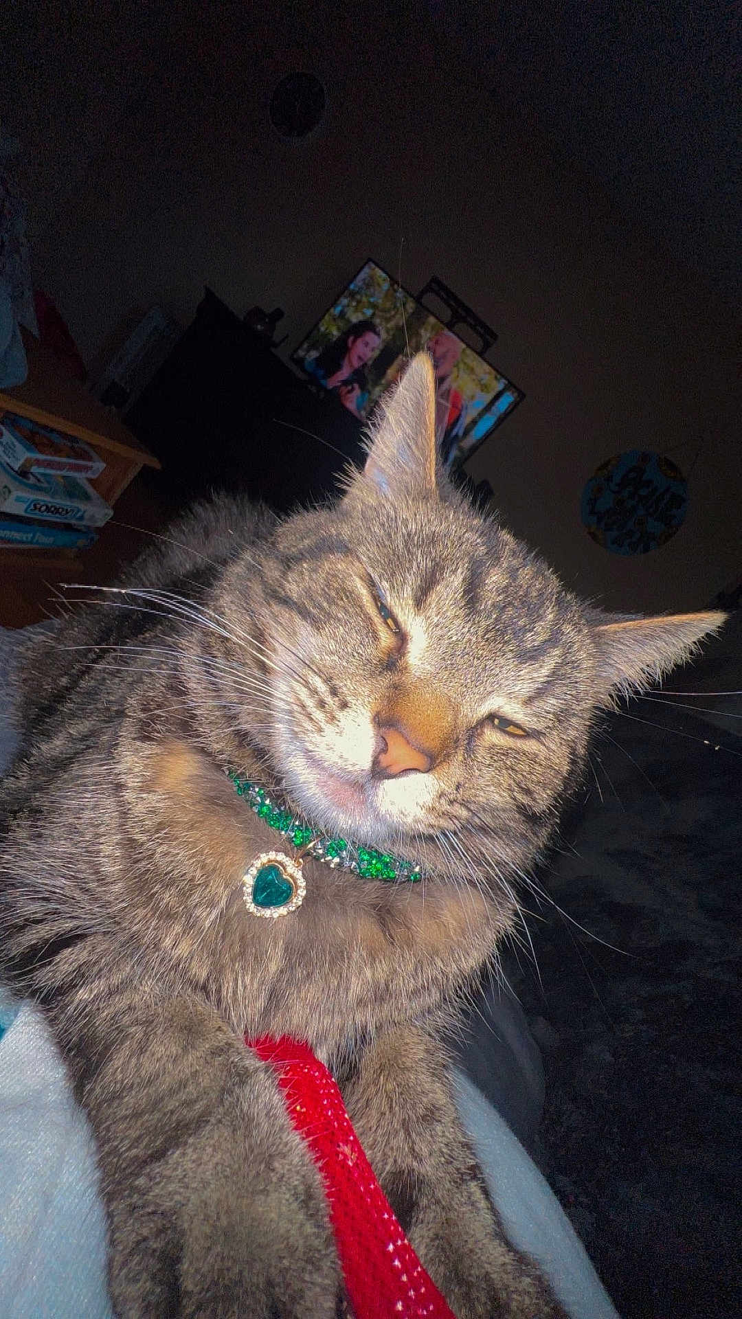 Miami Jade