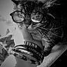 animal, black_and_white, bracelets, cat, closeup, cozy, cute, cute_pet, feline, funny, glasses, hand, indoor, pet, portrait, resting, soft_light, tabby, whiskers, window