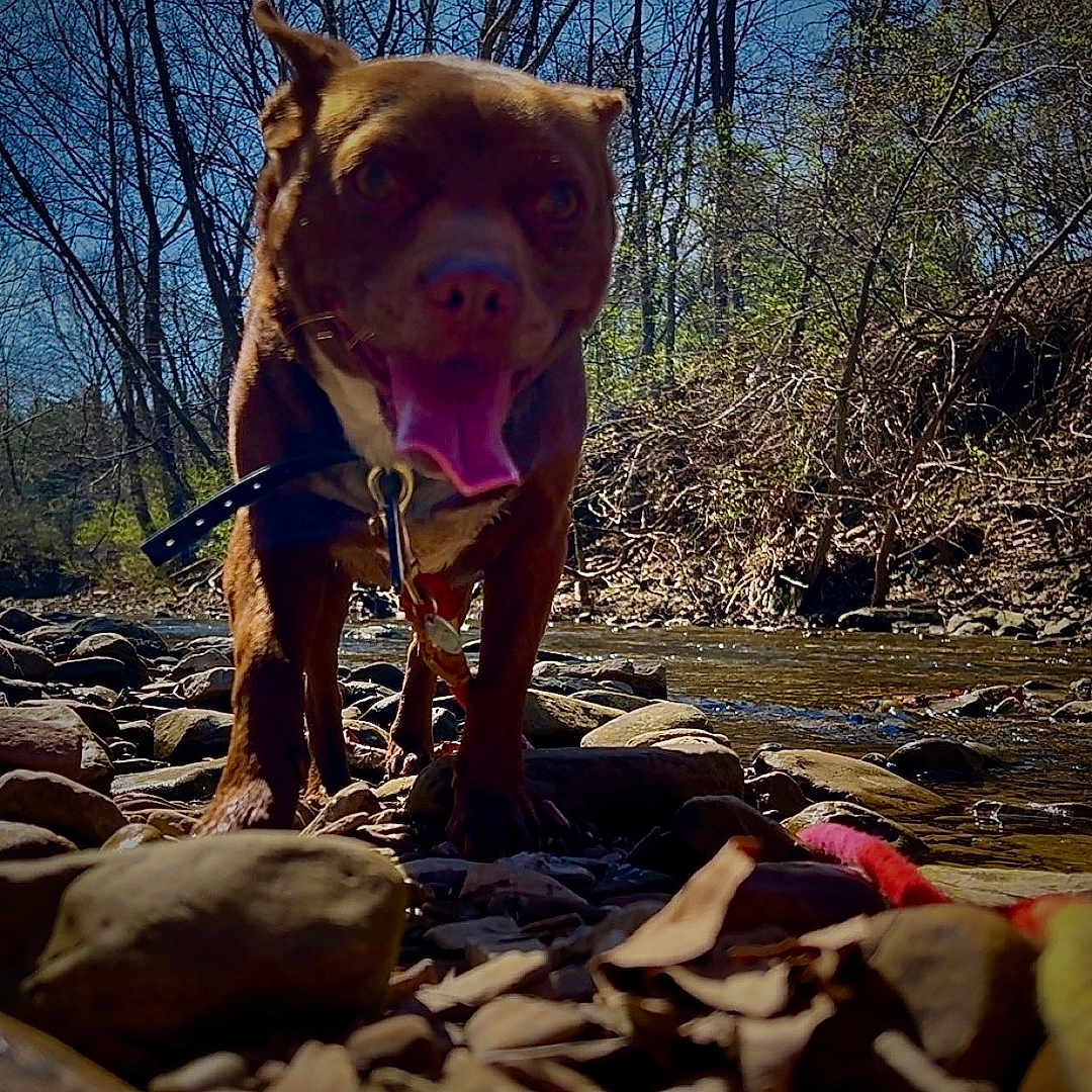 Kingston