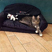 Jazzy participe au concours pour gagner de l'argent avec cette photo :