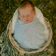 Korbin is registered to the contest to win money with this photo: newborn, baby, swaddled, blanket, tree_stump, outdoor, grass, nature, infant, sleeping, portrait, soft_lining, peaceful, natural_light, wood, closeup, cocoon, cute, baby_face, resting