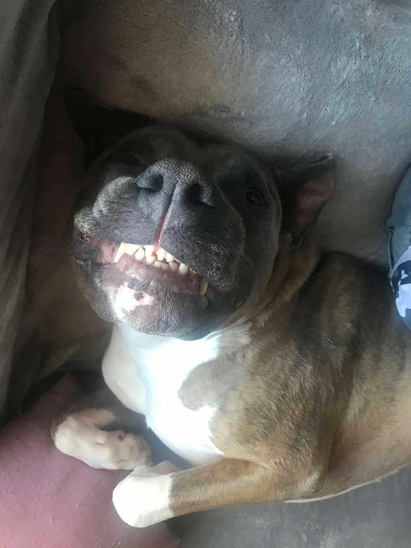 Zeus