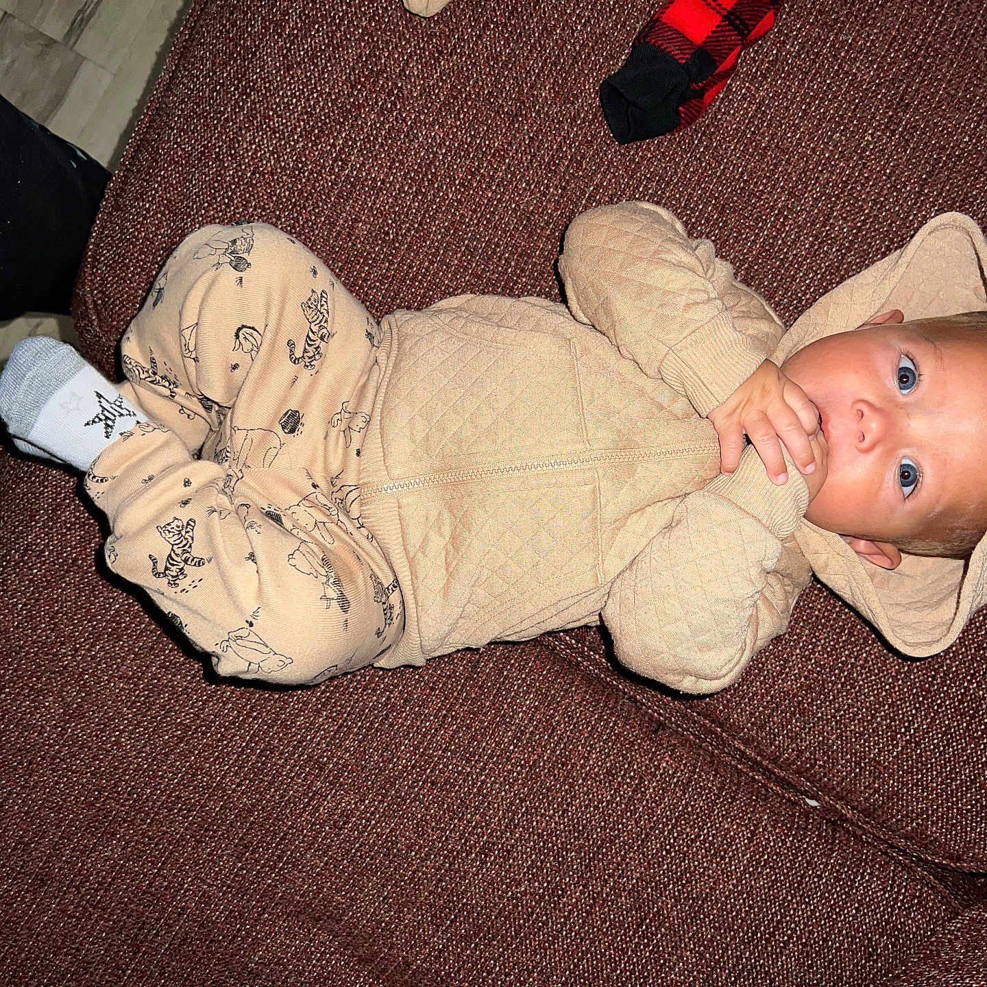 Kane is registered to the contest to win money with this photo: baby, bear_ears, blue_eyes, brown_couch, child, clothing, couch, cozy, cute, fabric, fingers, hand, hood, indoor, infant, looking_at_camera, lying_down, onesie, portrait, socks