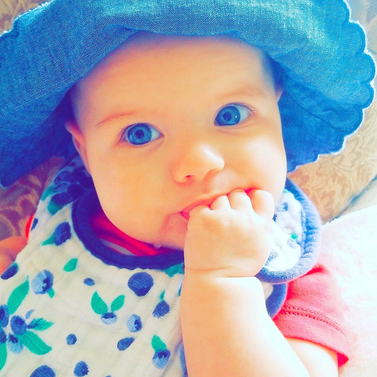 Elianna Grace is registered to the contest to win money with this photo: baby, beauty, blue, cheek, child, chin, close_up, cool, eye, face, head, headgear, joy, lip, mouth, nose, person, play, skin, smile