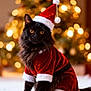 adorable, animal, black_cat, cat, celebration, christmas_hat, christmas_tree, costume, cute, decorations, festive, furry, holiday_costume, indoor, pet, portrait, santa_claus_outfit, seasonal, snow_like_surface, winter