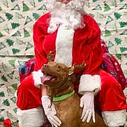 Koda is registered to the contest to win money with this photo: person, santa_claus, dog, reindeer_antlers, christmas, holiday, festive, costume, glasses, white_gloves, red_suit, chair, decor, plush_toy, background, smiling_dog, tongue_out, indoor, seasonal, celebration