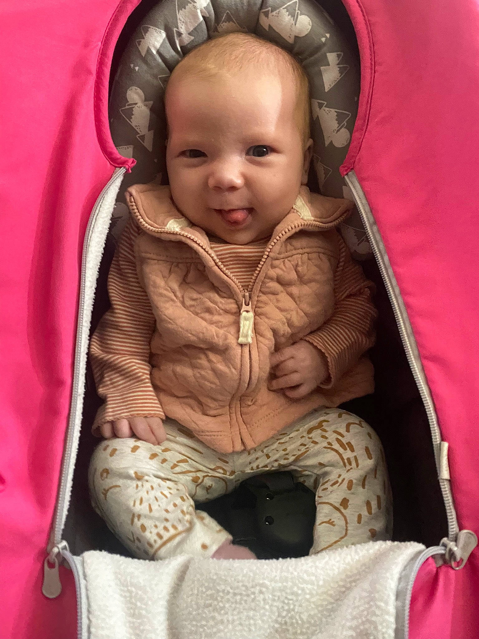 Eleanor is registered to the contest to win money with this photo: baby, baby_carriage, baby_products, baby_toddler_clothing, car_seat, cheek, child, comfort, fun, fur, happy, linens, magenta, nose, outerwear, person, play, sitting, skin, sleeve
