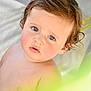 child, baby, toddler, blue_eyes, wet_hair, curly_hair, rosy_cheeks, bare_chest, portrait, closeup, gaze, innocence, skin, natural_light, outdoor, plant, leaf, blurred_foreground, candid, soft_texture