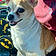Zoey