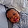 Mouhamed