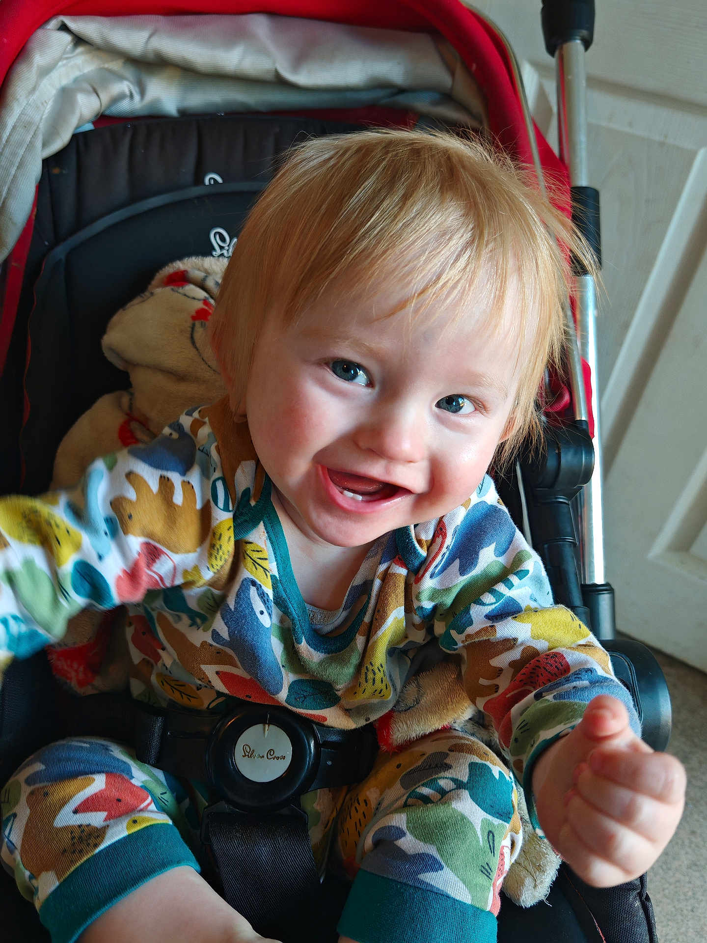 Levi joined the competition — help win amazing prizes! toddler, child, smiling, stroller, colorful_clothing, animal_print, indoor, blanket, happy, cute, baby, seatbelt, face, blue_eyes, hand, portrait, playful, cheerful, young_child, hair