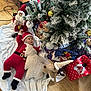 Christian a rejoint le concours — aidez-le/la à gagner de superbes lots ! baby, blanket, child, christmas, christmas_tree, cute, festive, floor, gift_wrap, greenery, holiday, holiday_decorations, indoors, ornaments, plush_toy, presents, red_clothing, reindeer_toy, santa_claus_costume, seasonal
