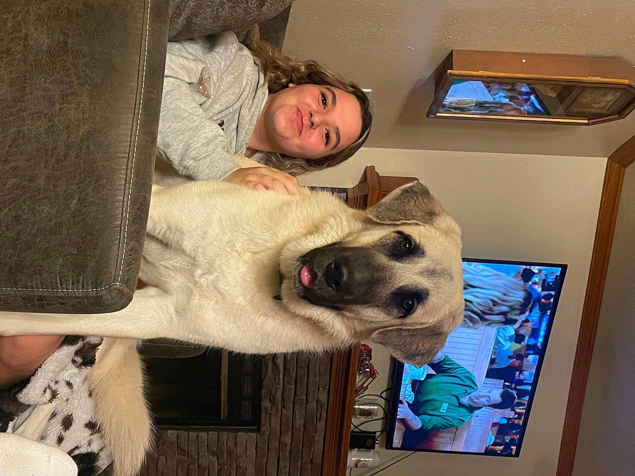 Elsie Mae joined the competition — help win amazing prizes! canidae, carnivore, collar, comfort, companion_dog, dog, dog_breed, electronic_device, fawn, fur, giant_dog_breed, pet_supply, rectangle, room, smile, snout, sporting_group, technology, whiskers, working_animal