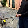 dog, person, leash, yellow_jacket, sidewalk, cobblestone, street, building, window, green_shutters, smile, casual_clothing, hand, walking, outdoor, urban, pants, black_shirt, accessory, nature