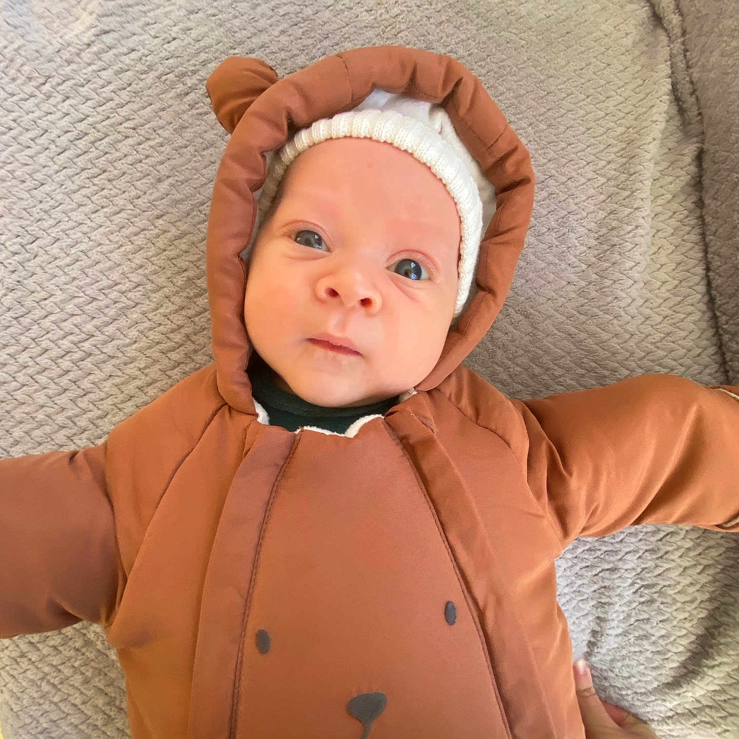 Aksil participe au concours pour gagner de l'argent avec cette photo : baby, bear, blanket, brown, child, clothing, cozy, cute, eyes, face, hat, hood, indoor, infant, lying_down, person, portrait, snowsuit, texture, warm