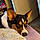 Archibald