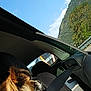 dog, car_interior, seatbelt, sky, mountains, tree, sunlight, window, travel, pet, fur, leisure, road, nature, daytime, vehicle, comfort, resting, side_view, outdoor