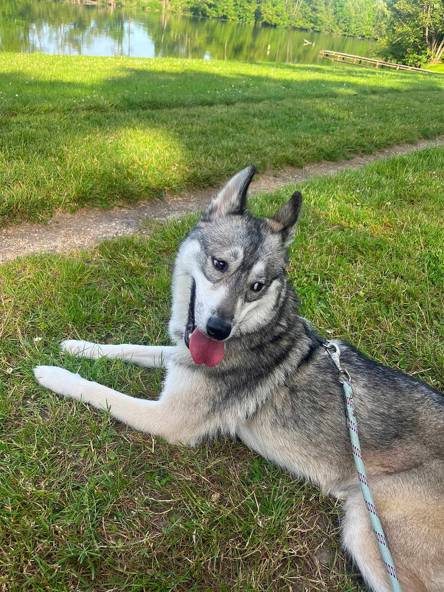 Baloo