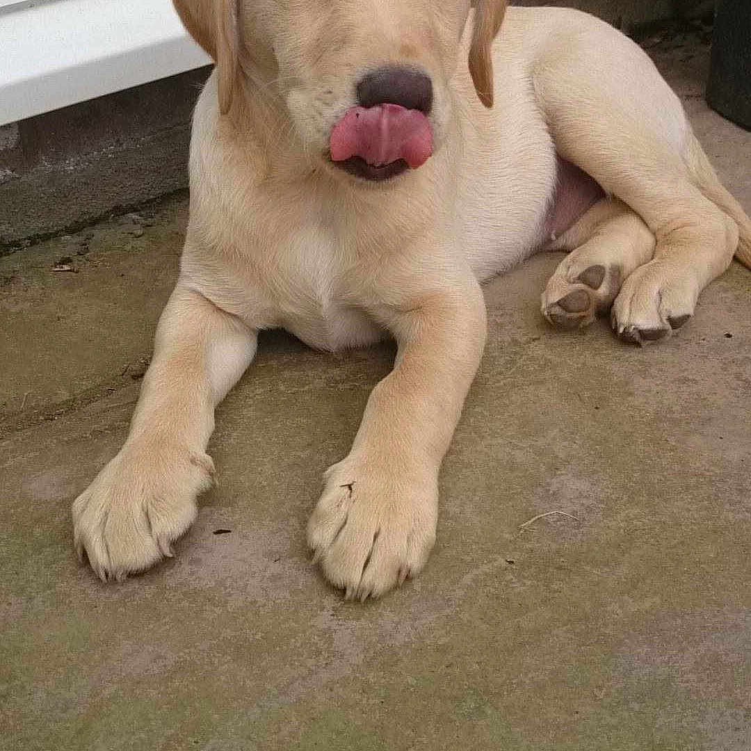 Marley joined the competition — help win amazing prizes!