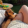 dog, puppy, dachshund, pet, animal, outdoor, sunlight, legs, person, grass, table, greenery, relaxation, companionship, cute, brown, fur, looking, resting, summer