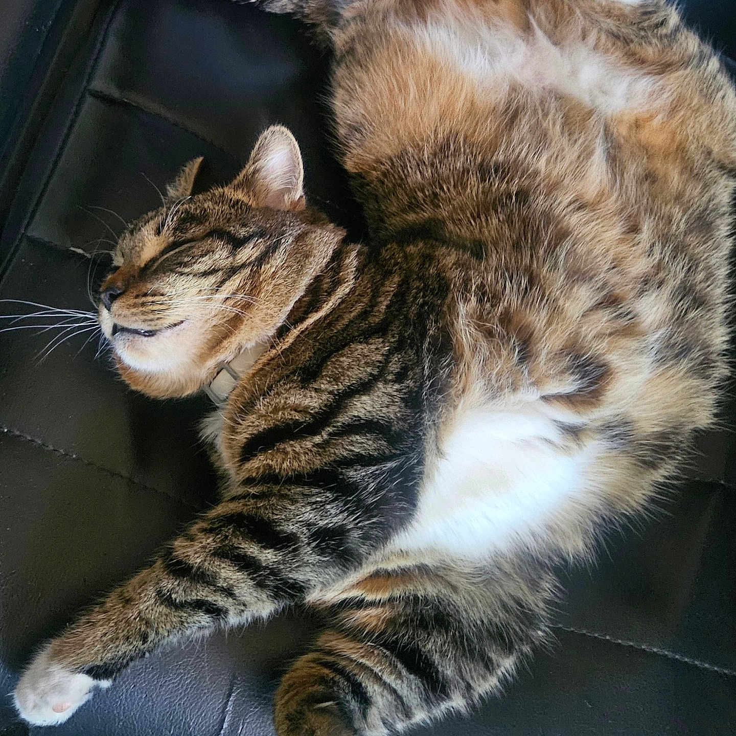 Miyo