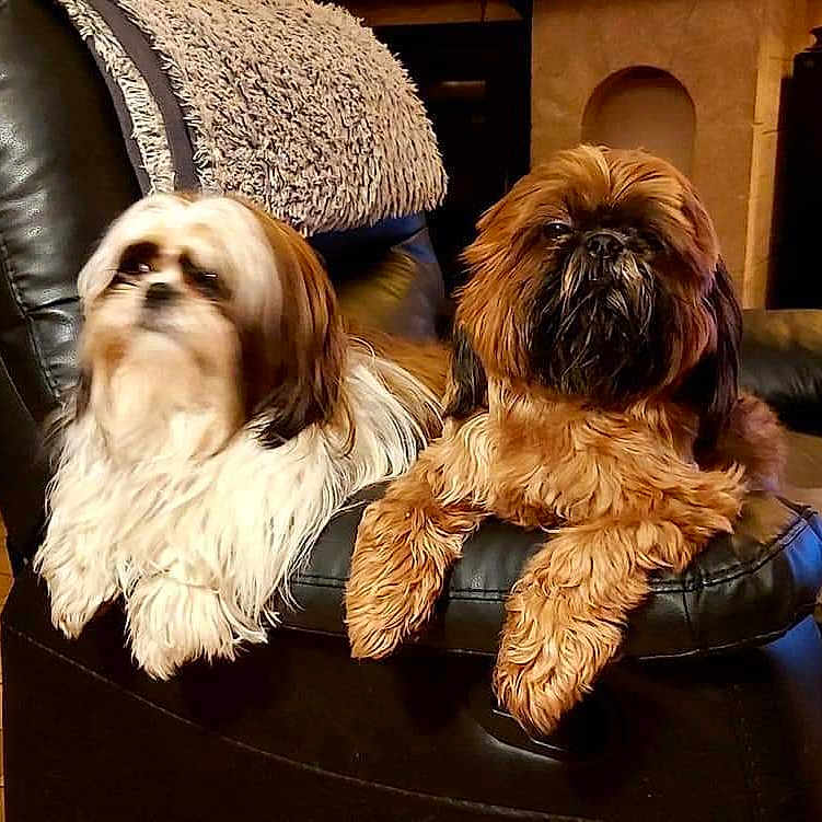 Oswald Et Naya