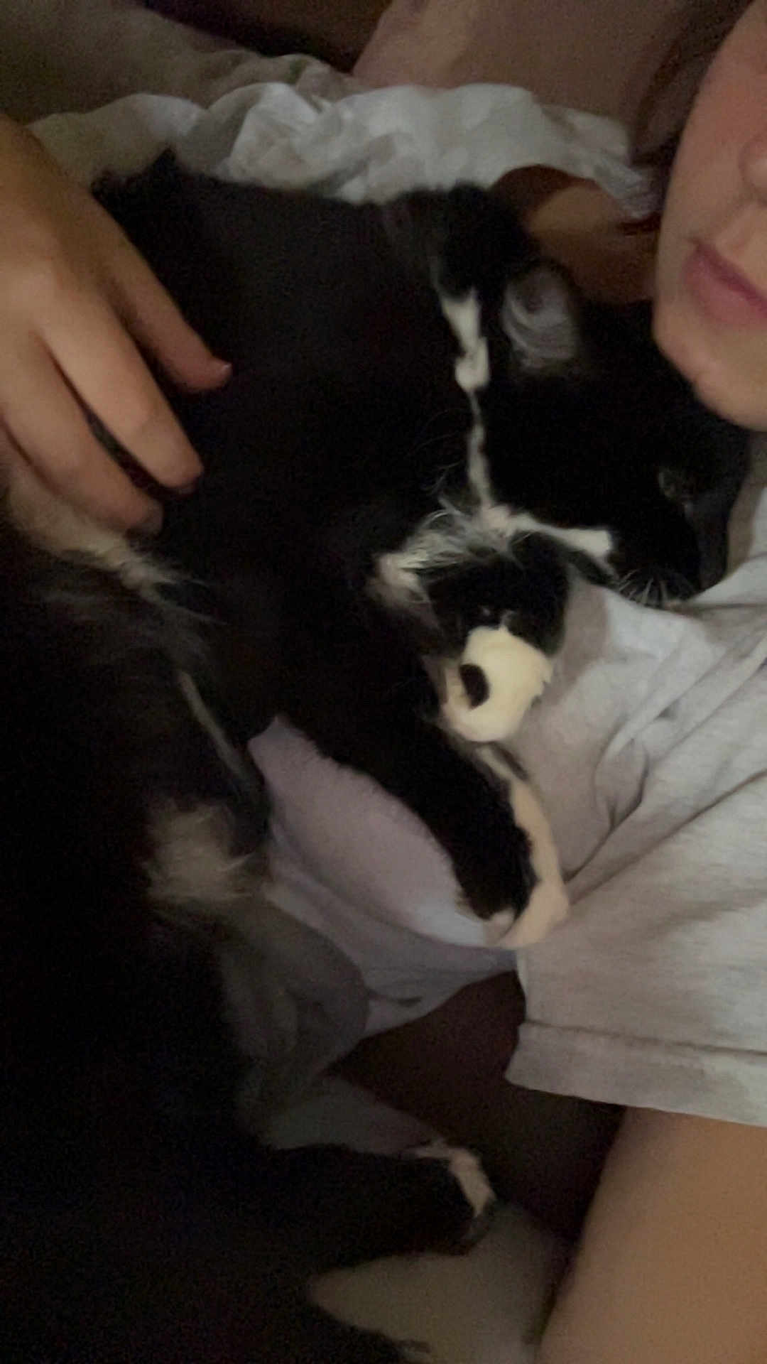 Fluffy