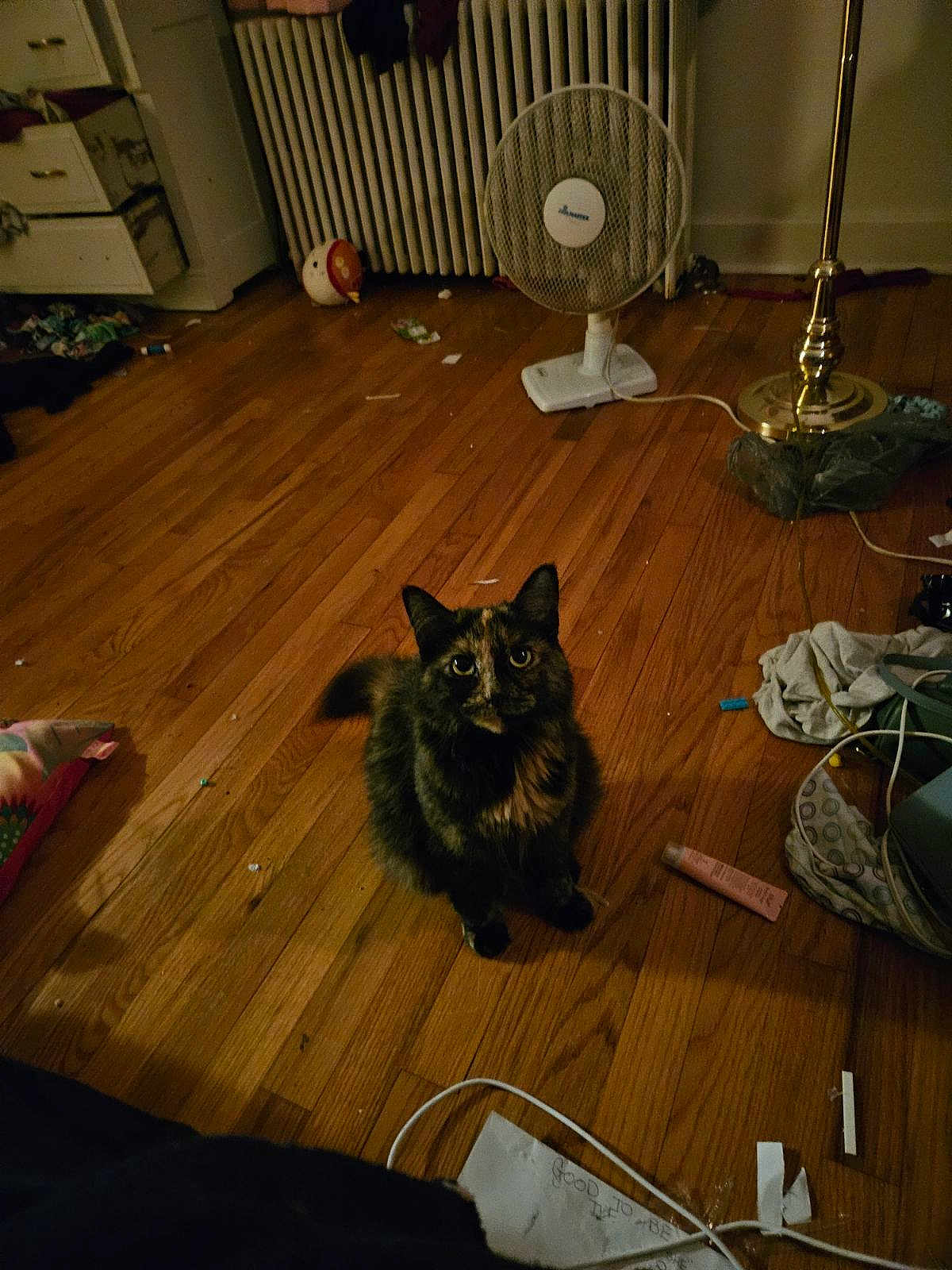Gracie