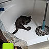 animal, bathroom, bathtub, cartoon_avatar, cat, cleaning_tool, digital_overlay, filter, floor, fun, gray_cat, household, indoor, mobile_screenshot, mop, pet, resting_cat, snapshot, tabby_cat, tile_floor