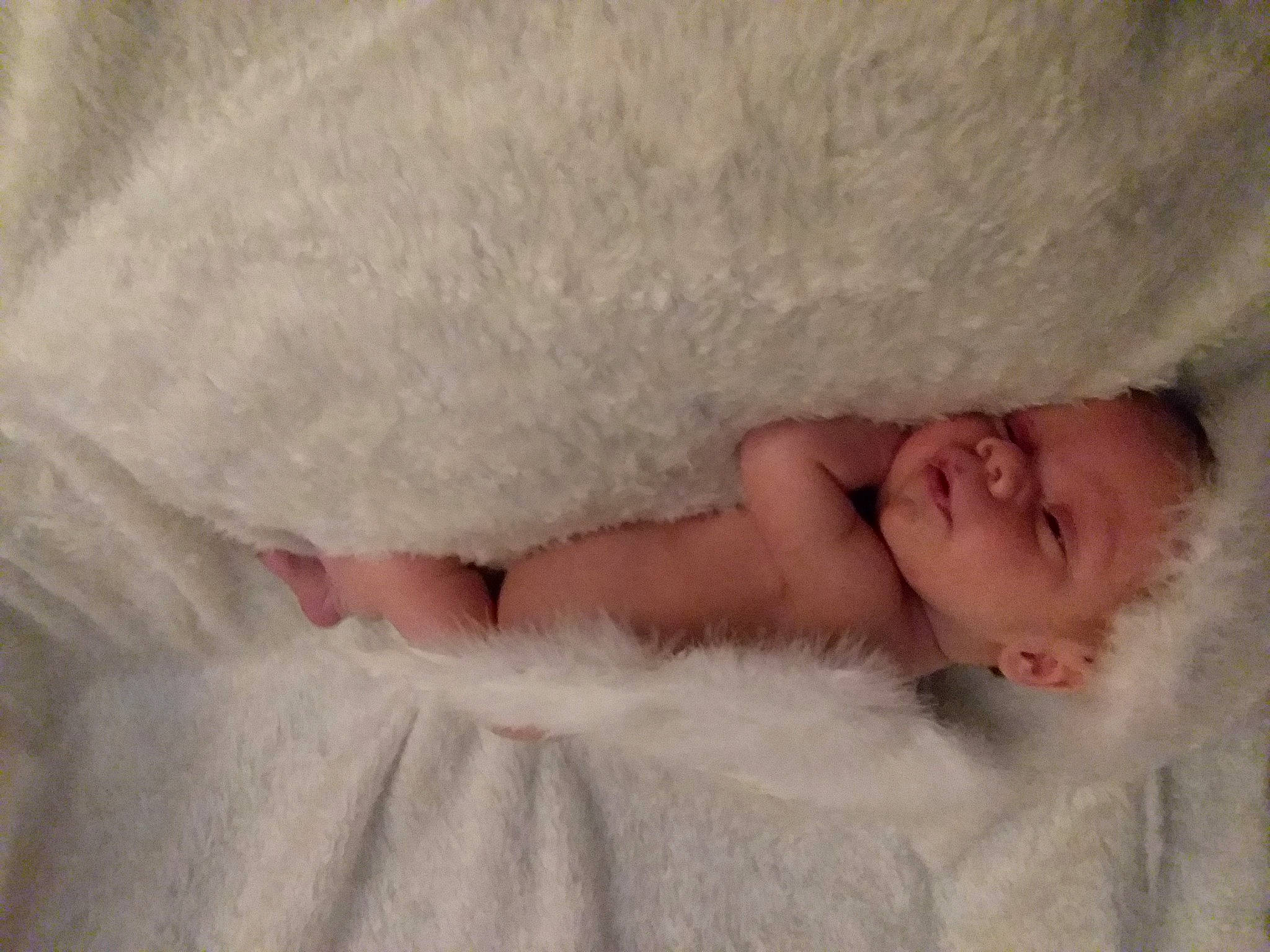 Perry joined the competition — help win amazing prizes! baby, child, eye, fur, lip, mouth, nose, person, skin, textile, toddler