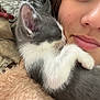 kitten, cat, person, face, close_up, snuggling, cozy, blanket, soft_texture, fur, pet, animal, sleeping, resting, cute, affection, warm, indoor, comfort, relaxed