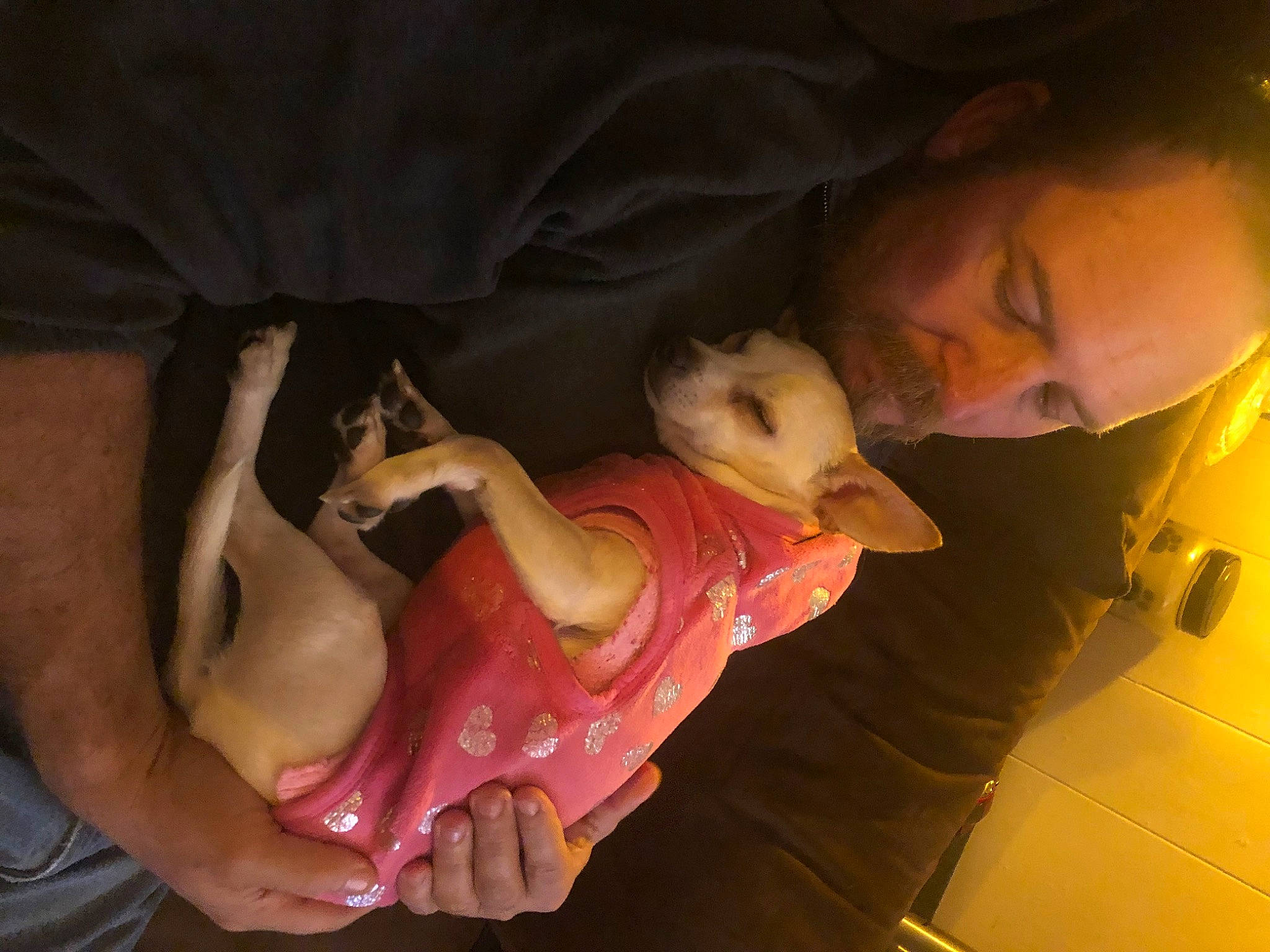 Sadie is registered to the contest to win money with this photo: abdomen, chest, child, comfort, companion_dog, dress, elbow, event, fawn, flesh, fun, fur, gesture, mouth, nail, room, toy, tree, trunk