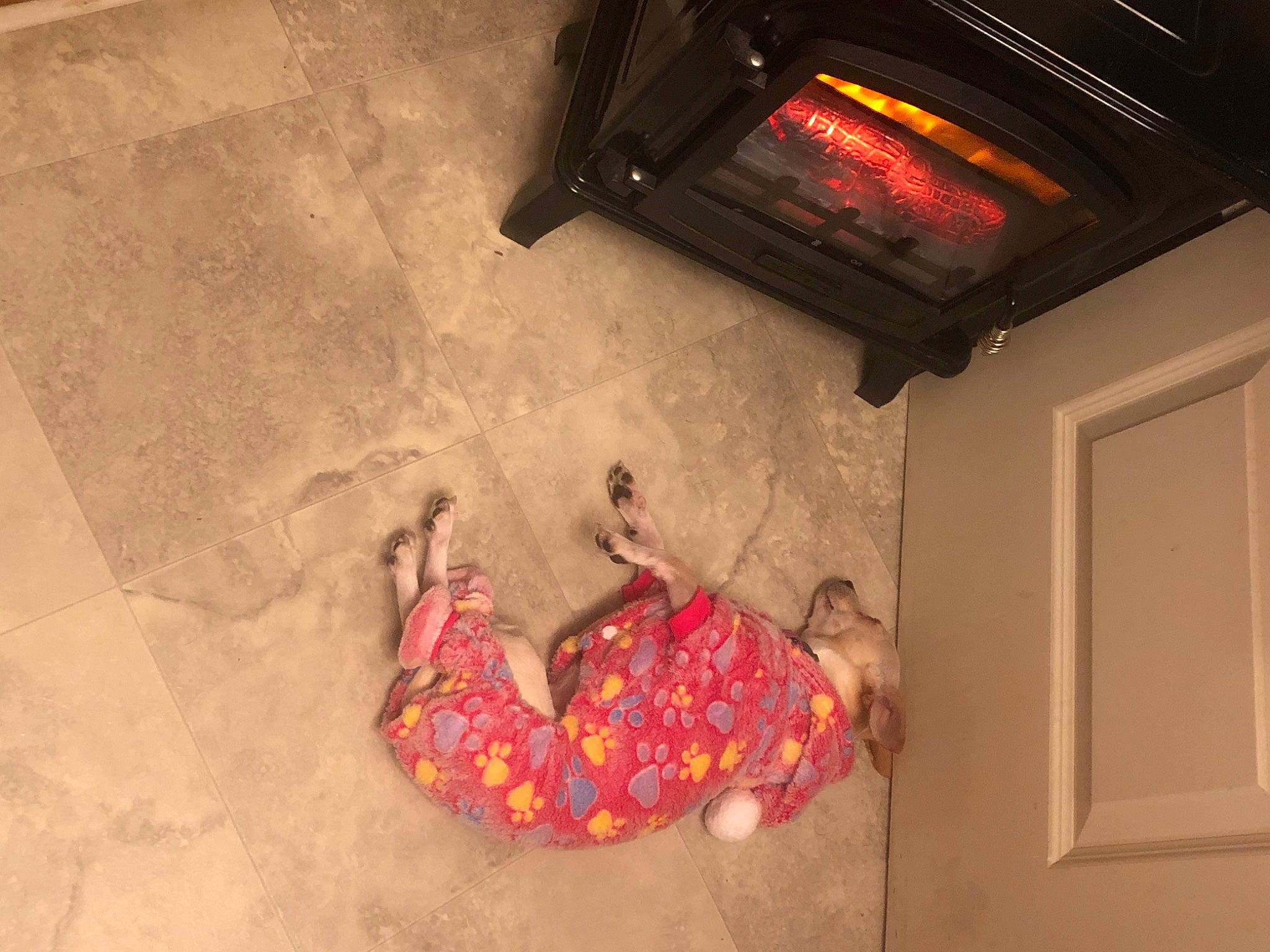 Sadie joined the competition — help win amazing prizes! automotive_lighting, bumper, carmine, ceiling, cement, concrete, door, flooring, fun, gas, hardwood, house, orange, plaster, red, room, tints_and_shades, visual_arts, wall, wood