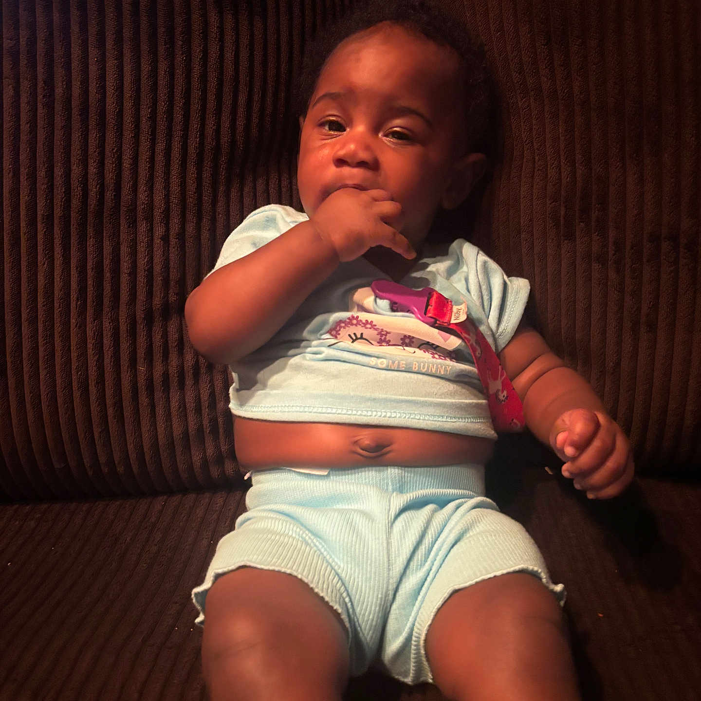 Anirah is registered to the contest to win money with this photo: baby, blue_clothing, brown_couch, bunny_graphic, child, corduroy, couch, cute, expression, face, hand_in_mouth, indoors, infant, person, portrait, relaxed, shorts, sitting, skin, tshirt
