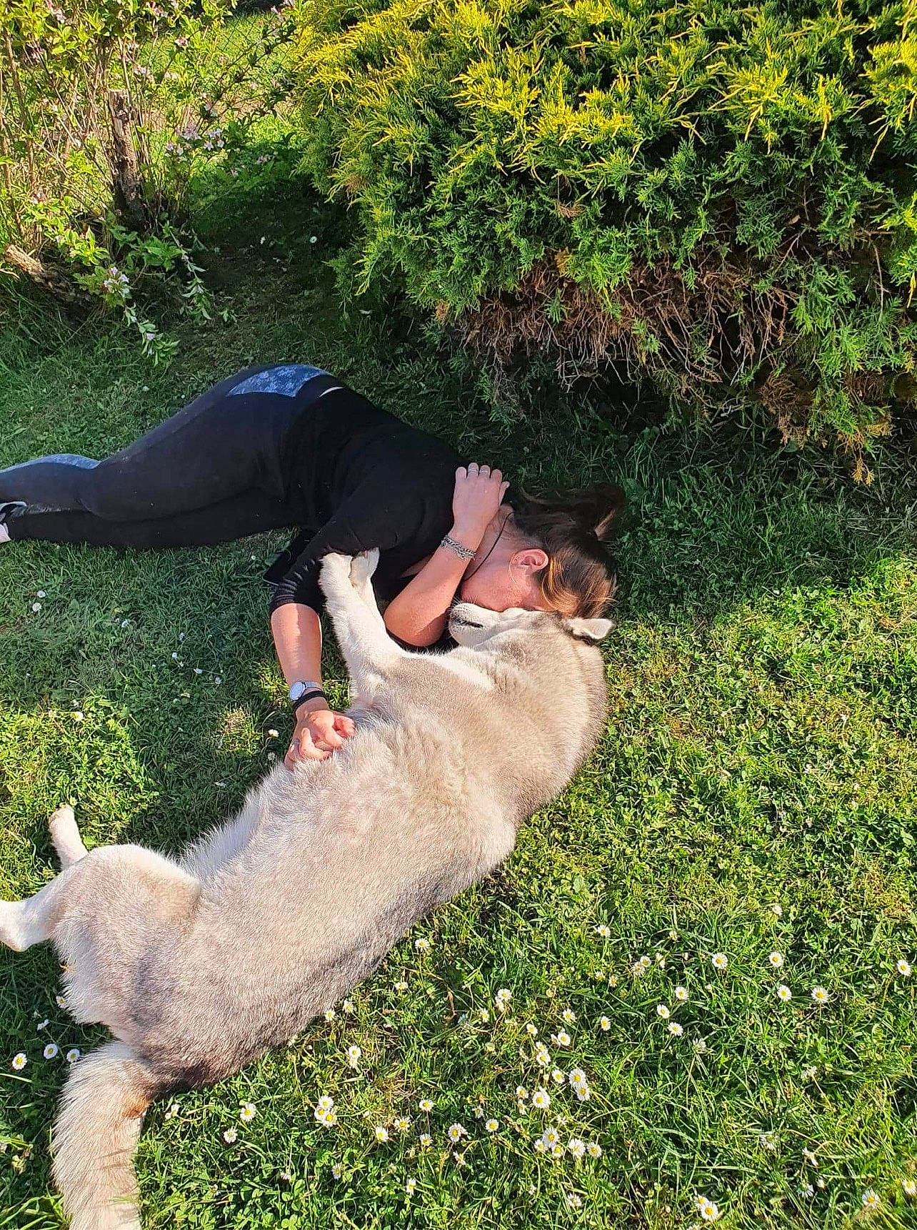 Miya a rejoint le concours — aidez-le/la à gagner de superbes lots ! barefoot, fun, gesture, grass, grass_family, grassland, groundcover, happy, human_leg, knee, landscape, leg, leisure, people_in_nature, plant, shrub, sitting, sunglasses, tail, thigh