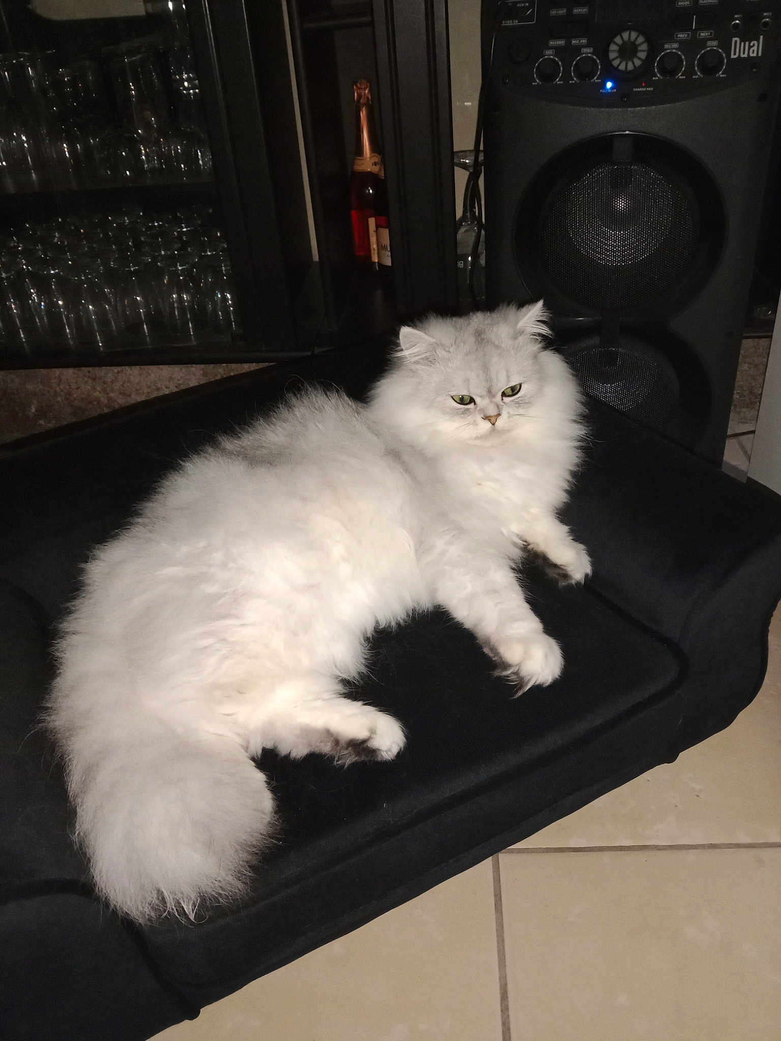 Prince