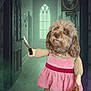 Hazel is registered to the contest to win money with this photo: dog, dress, teddy_bear, knife, hallway, spooky, gothic_window, portrait, old_picture, wooden_floor, costume, pet, animal, toy, creepy, dark, shadow, necklace, fur, indoors