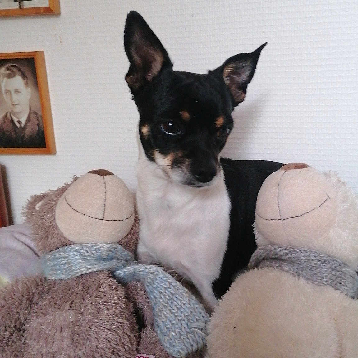 Prince
