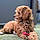 Oliver