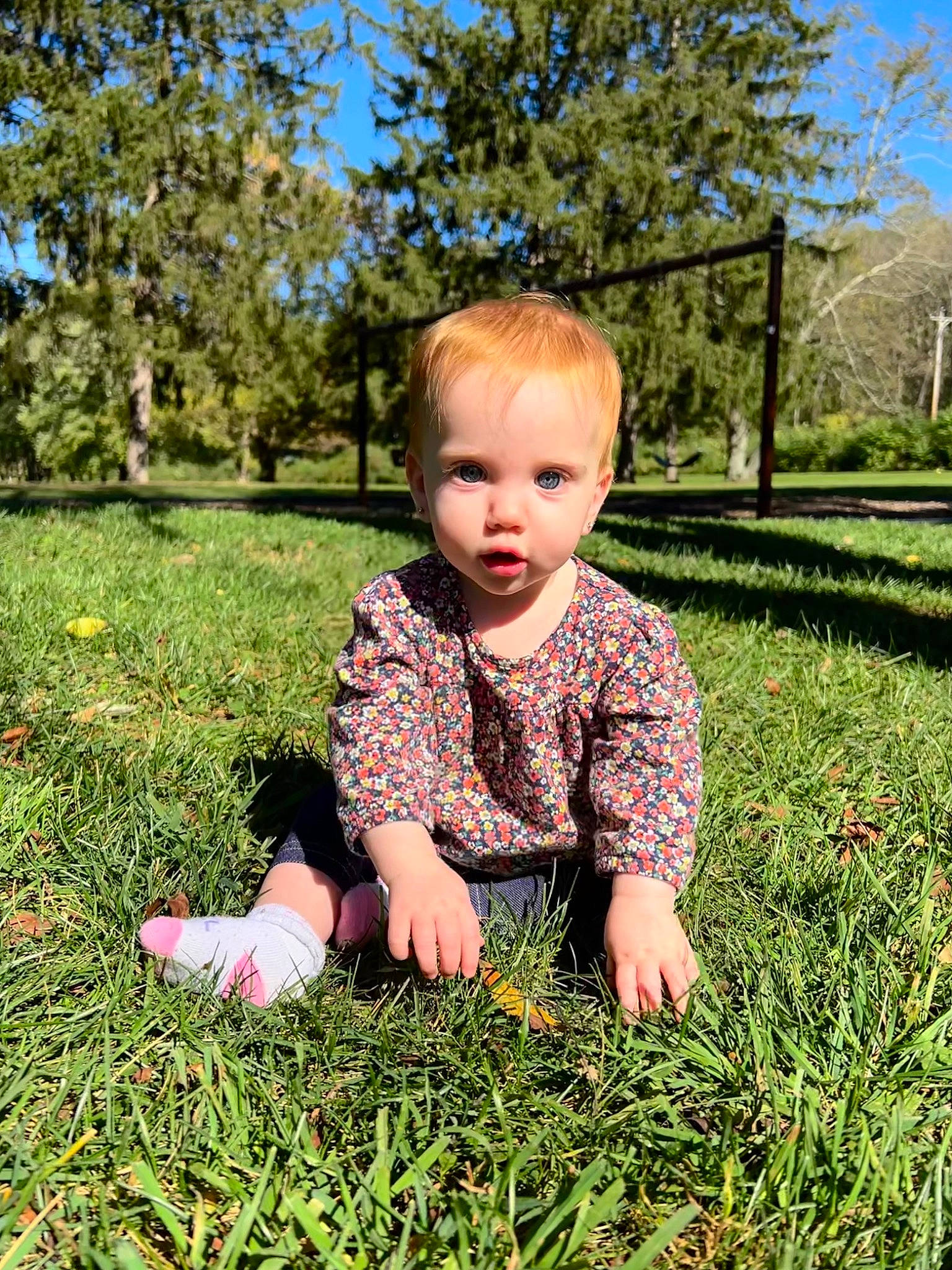 Julie joined the competition — help win amazing prizes! baby, baby_toddler_clothing, child, crawling, flooring, fun, grass, grass_family, grassland, happy, lawn, leaf, meadow, people_in_nature, person, plant, prairie, sitting, sky, toddler