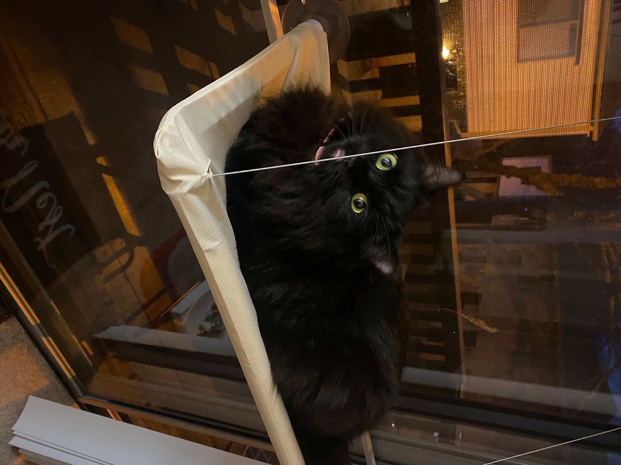 Luna joined the competition — help win amazing prizes! black_cat, bombay, carnivore, cat, domestic_short_haired_cat, felidae, flooring, fur, natural_material, small_to_medium_sized_cats, snout, tail, terrestrial_animal, whiskers, wood