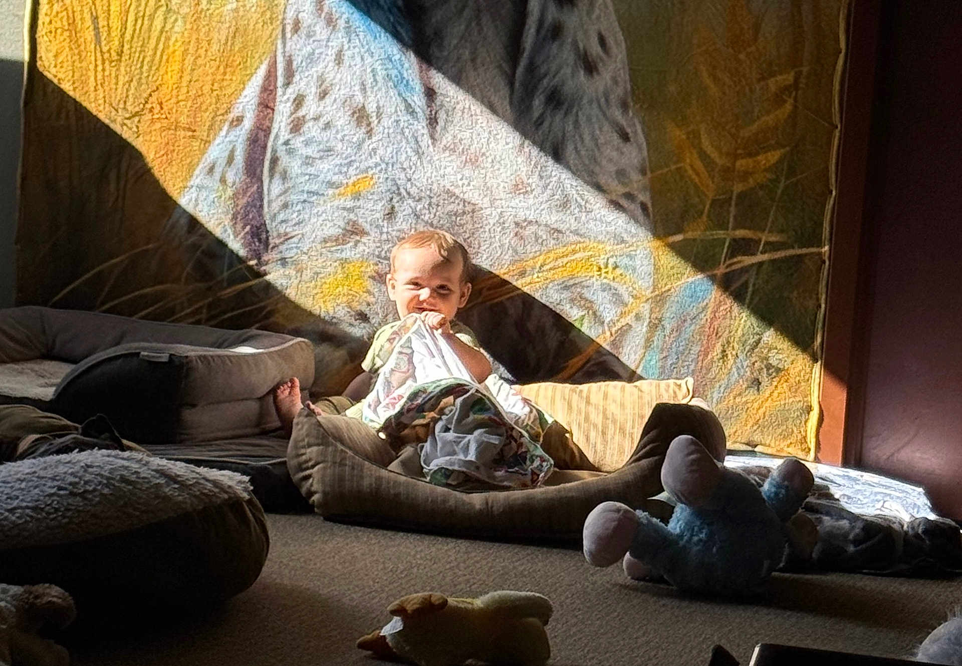 Samuel joined the competition — help win amazing prizes! baby, blanket, cushion, plush_toy, carpet, sunbeam, shadow, tapestry, indoor, child, playing, chewing, fabric, soft_toys, floor, light, cozy, relaxed, resting, home