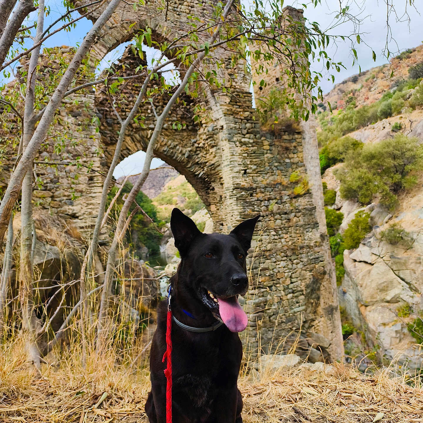 Atreyu