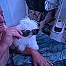 Crevette a rejoint le concours — aidez-le/la à gagner de superbes lots ! dog, white_dog, sunglasses, person, hand, bed, blanket, indoor, box, bag, fan, casual, playful, pet, fur, accessory, resting, human, room, relaxed