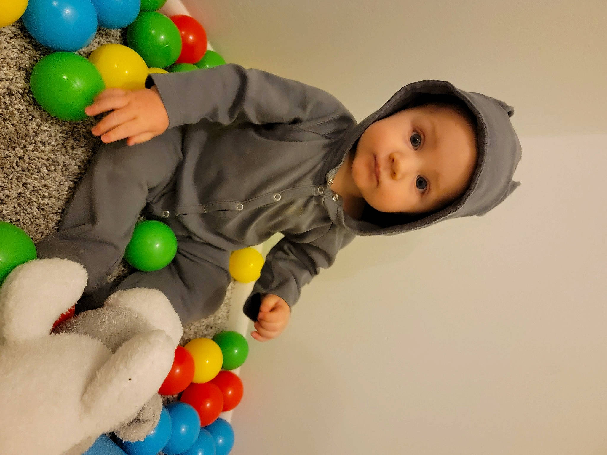 Ledger is registered to the contest to win money with this photo: baby, baby_playing_with_toys, baby_products, baby_toddler_clothing, baby_toys, ball_pit, balloon, child, clothing, event, fun, green, hand, head, headwear, party_supply, person, photograph, plastic, play