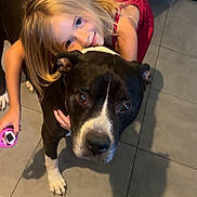 Iron participe au concours pour gagner de l'argent avec cette photo : child, dog, indoor, tile_floor, black_and_white_dog, hugging, smiling, blonde_hair, red_dress, pet, animal, friendship, affection, looking_at_camera, floor, shadow, playful, cute, young_girl, domestic_animal