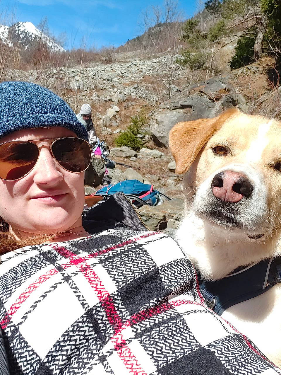 Khéops a rejoint le concours — aidez-le/la à gagner de superbes lots ! carnivore, collar, companion_dog, dog, dog_breed, dog_collar, eyewear, fawn, glasses, goggles, mammal, mountain, plant, recreation, sky, sunglasses, tartan, tree, vision_care, white