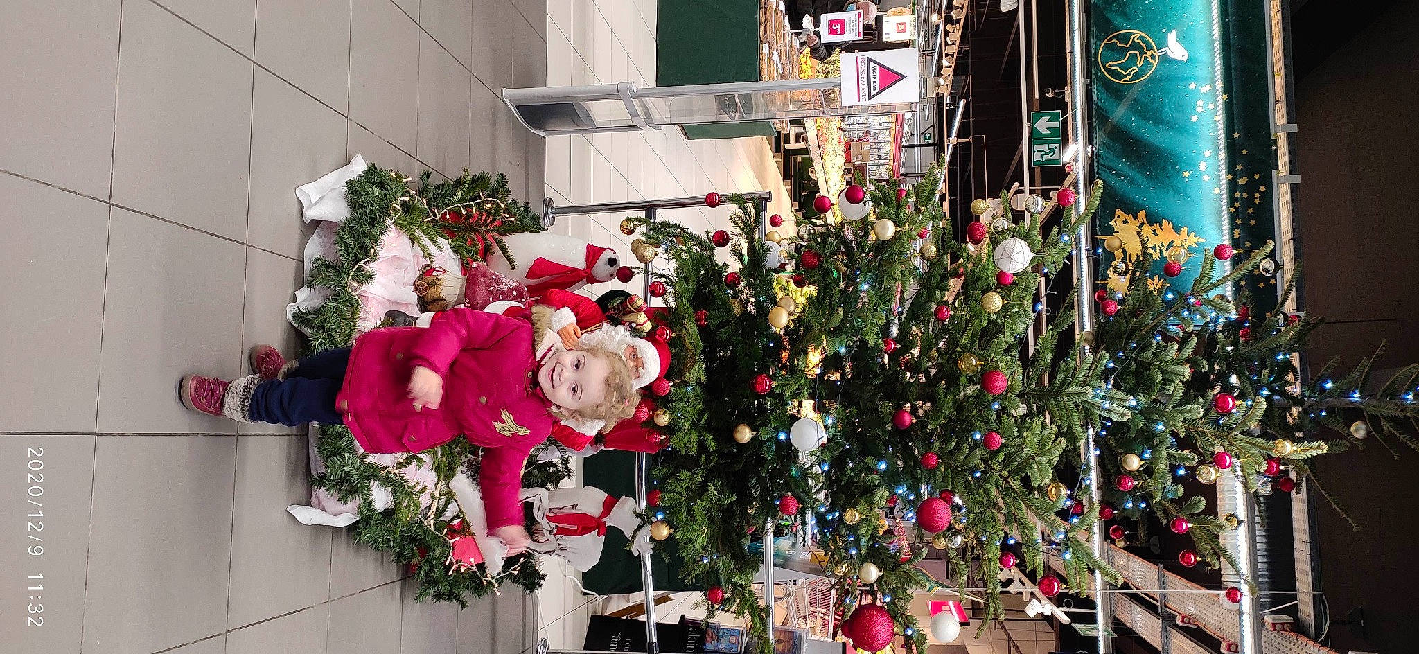 Alicia participe au concours pour gagner de l'argent avec cette photo : carmine, christmas, christmas_decoration, christmas_eve, christmas_lights, christmas_ornament, christmas_tree, conifer, decoration, event, festival, fictional_character, fir, holiday, holiday_ornament, interior_design, joy, ornament, person, pine_family