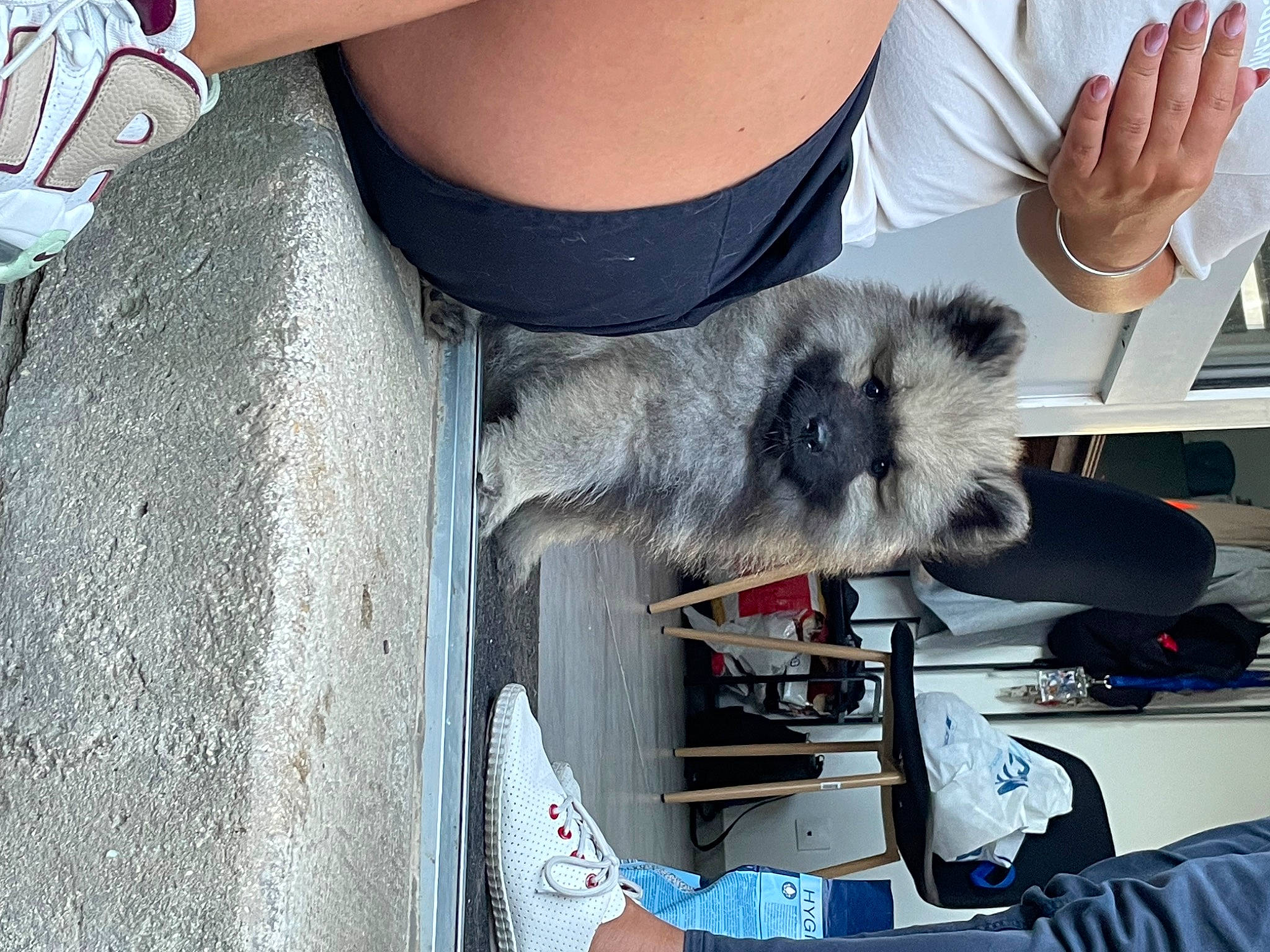 Uby participe au concours pour gagner de l'argent avec cette photo : denim, elbow, fur, grey, machine, sleeve, t_shirt, textile, waist, wool, wrist