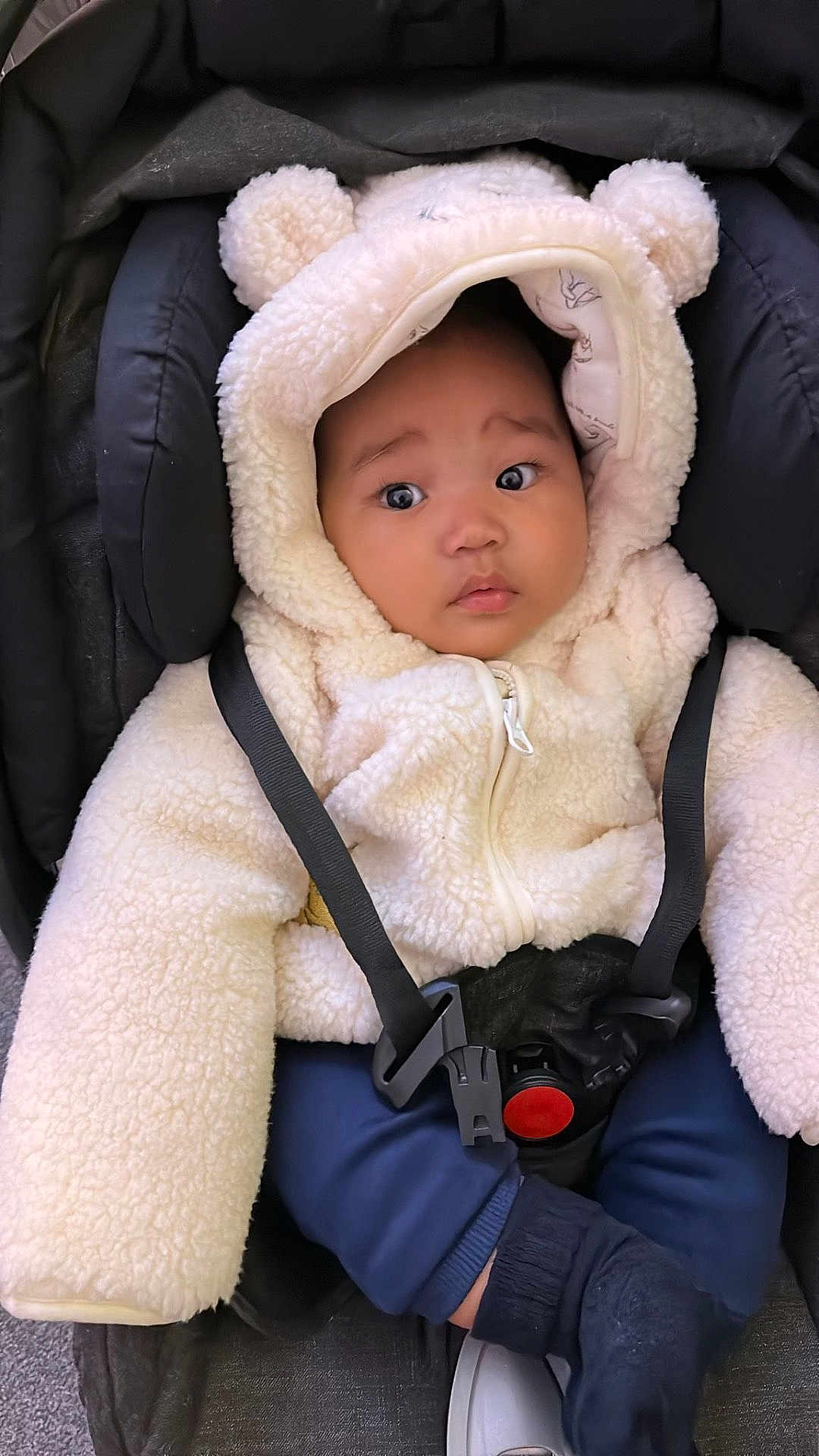 Ari is registered to the contest to win money with this photo: baby, child, car_seat, hoodie, fluffy_clothing, cream_color, straps, wide_eyes, cute, warm_clothes, infant, seat_belt, adorable, soft_texture, casual_wear, indoor, portrait, sitting, young_child, winter_clothing